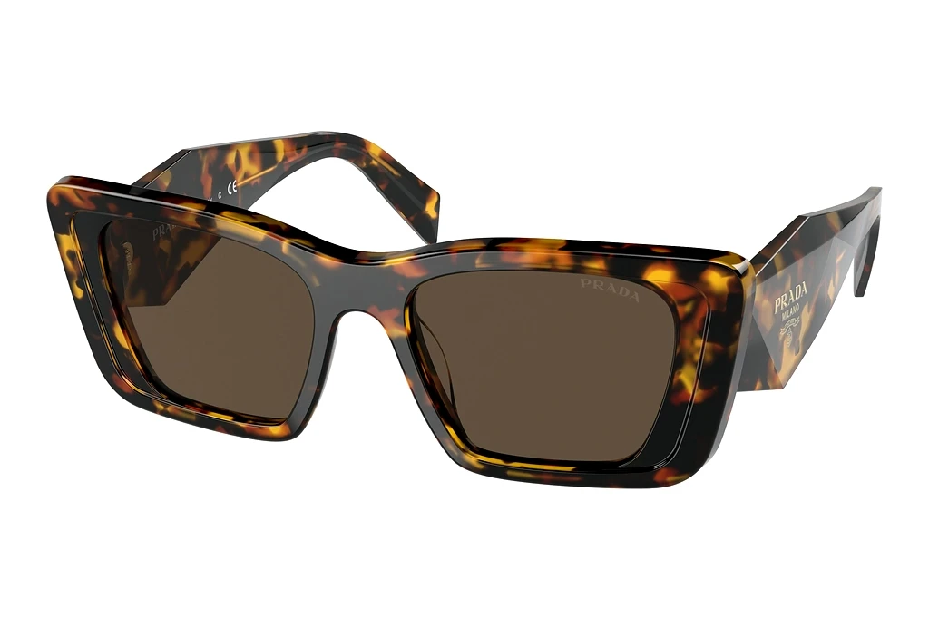 Prada   PR 08YS 01V8C1 Dark BrownHavana Honey