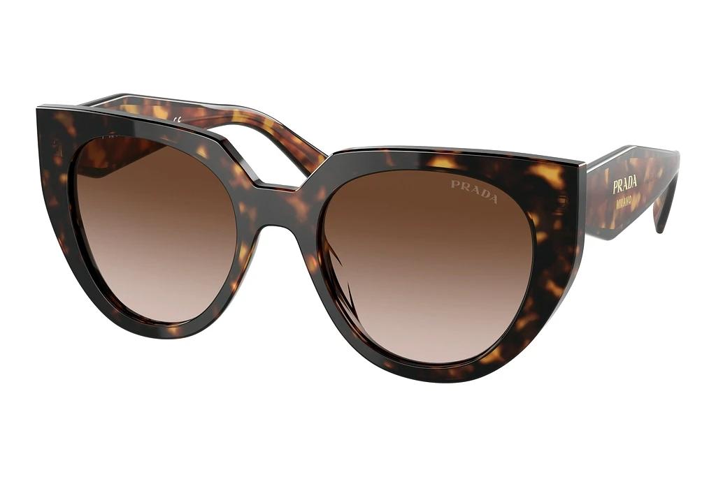 Prada   PR 14WS 2AU6S1 Brown GradientTortoise
