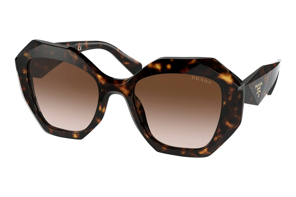 Prada   PR 16WS 2AU6S1 Brown GradientTortoise