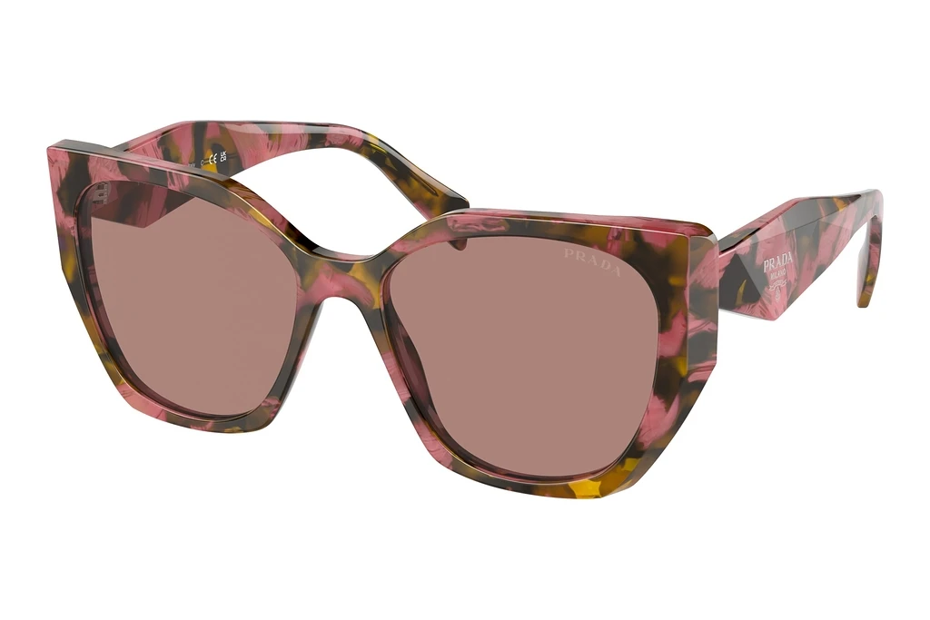 Prada   PR 19ZS 18N10D Light BrownTortoise Cognac Begonia