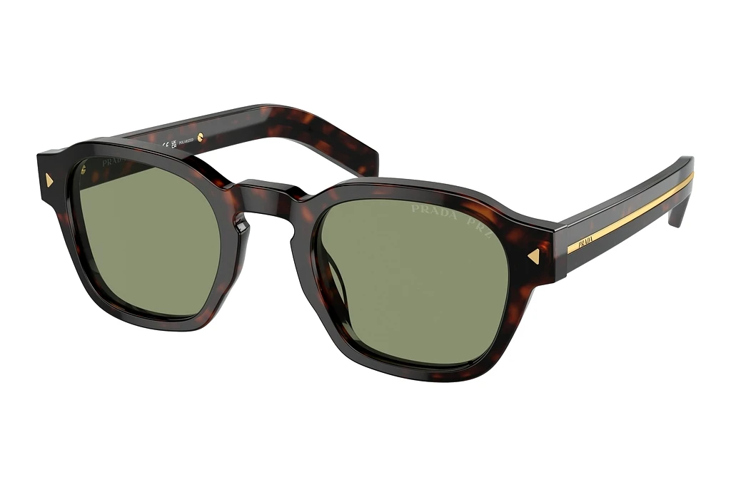 Prada   PR A16S 17N20G Polarized GreenRadica Tortoise