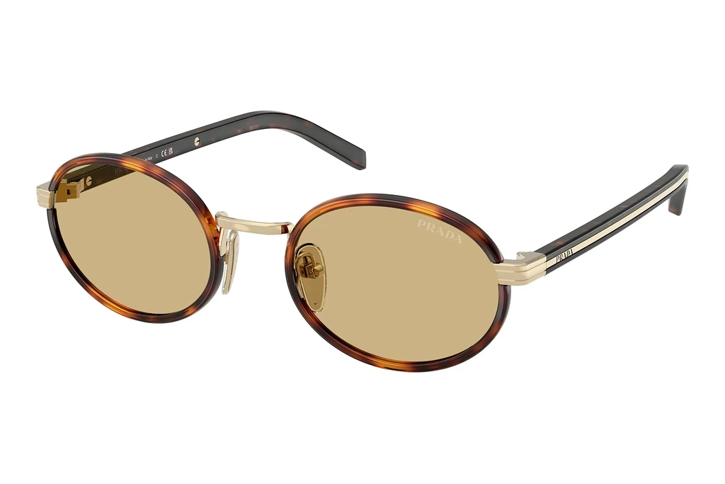 Prada   PR B56S 21E10R Lente Camomilla BioRoot Tortoise