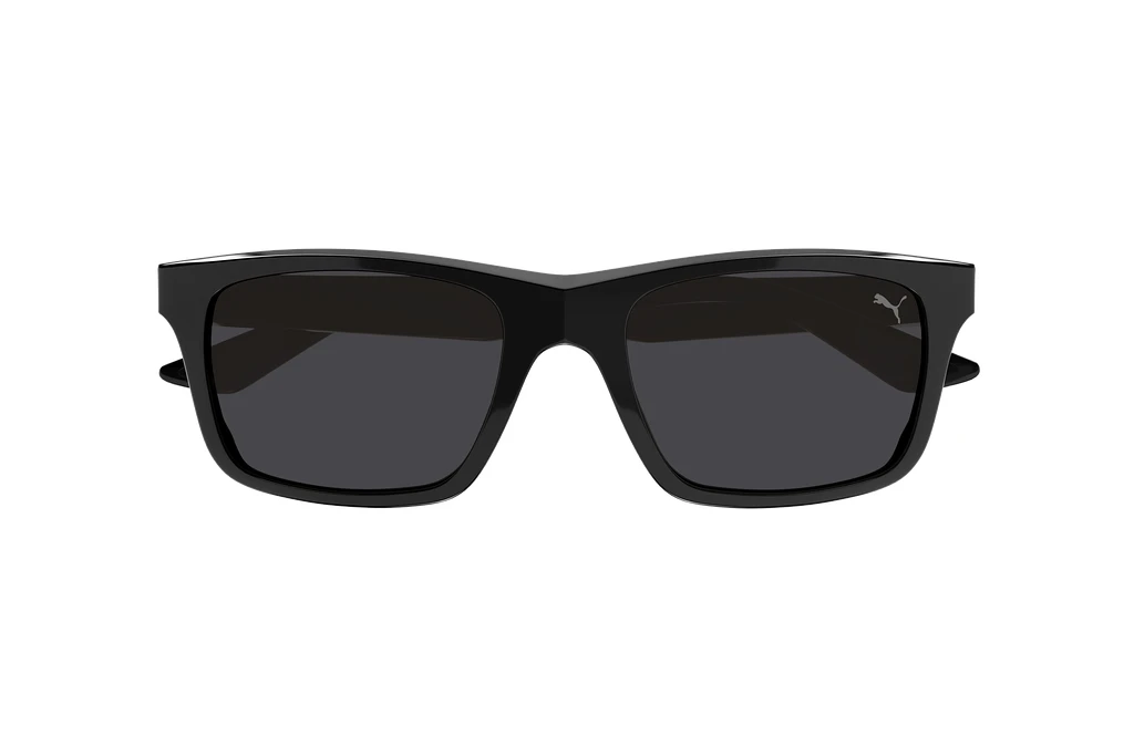 Vorderansicht Puma PU0402S (001)