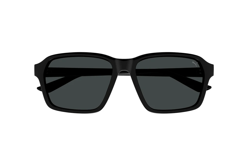 Vorderansicht Puma PU0478SA (001)