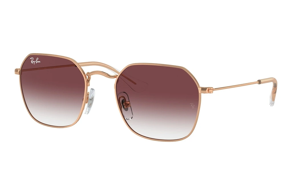 Ray-Ban Kids   RJ9594S 291/8H Clear & Dark VioletRose Gold