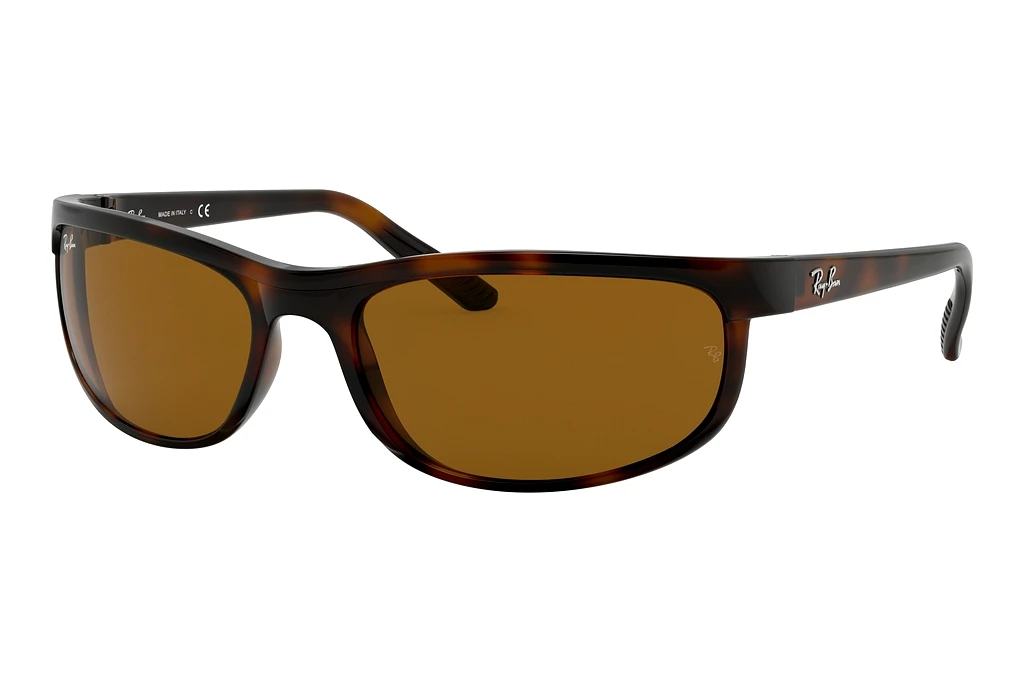 Ray-Ban   RB2027 650833 B-15 BrownDark Havana