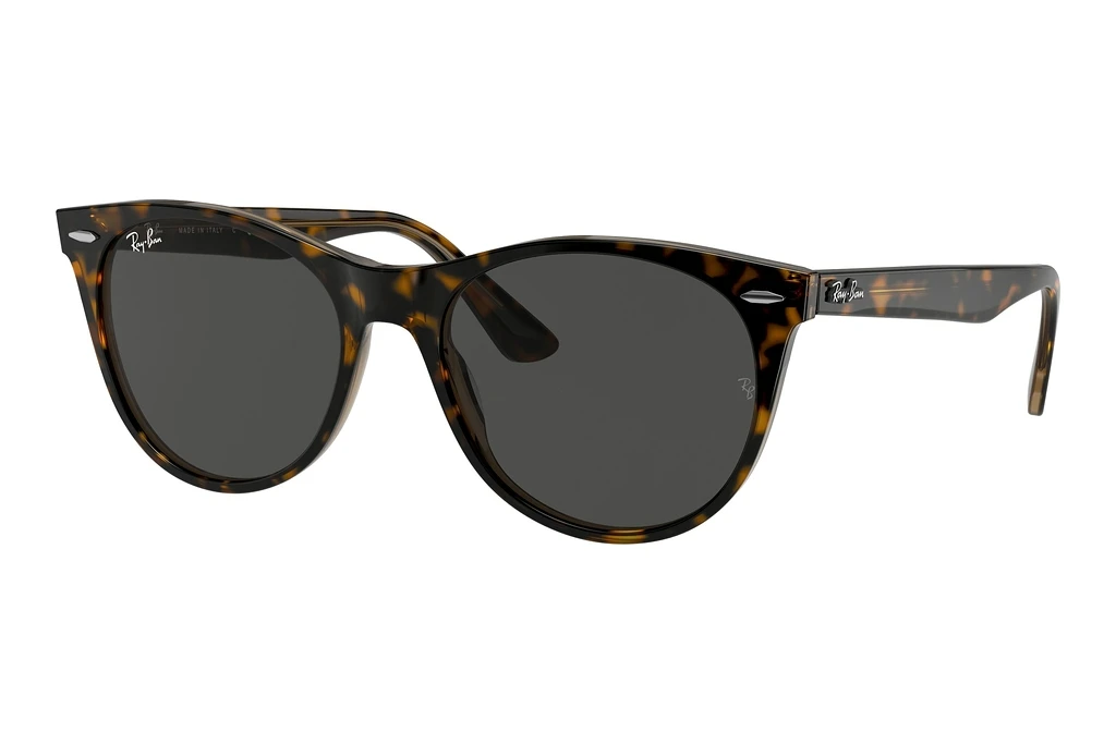 Ray-Ban   RB2185 1292B1 Dark GreyHavana On Transparent Brown