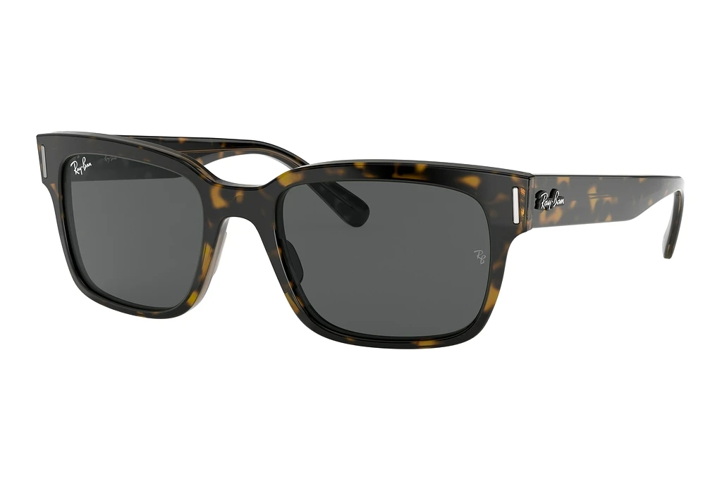 Ray-Ban   RB2190 1292B1 Dark GreyHavana On Transparent Brown