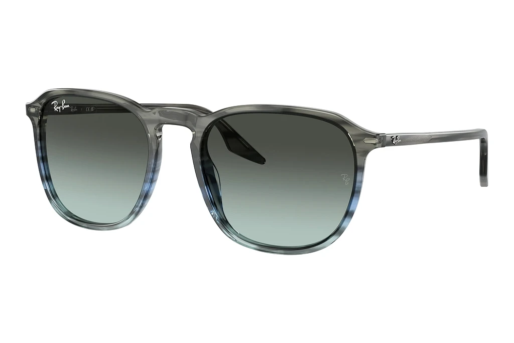 Ray-Ban   RB2203 1391GK Blue/BlackStriped Grey & Blue