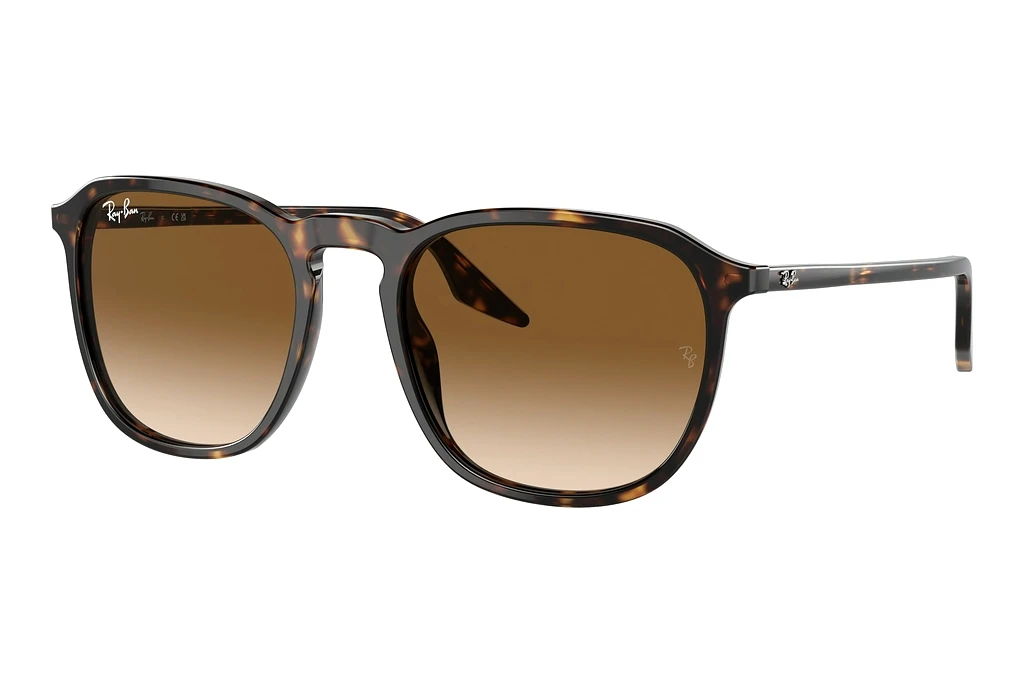 Ray-Ban   RB2203 902/51 Light BrownHavana