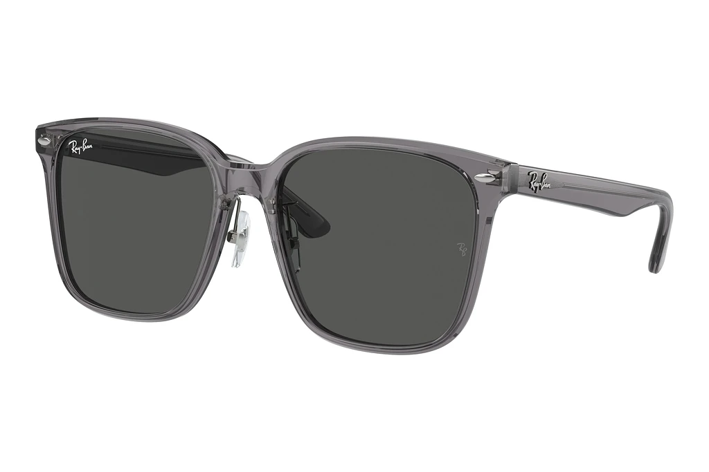 Ray-Ban   RB2206D 139987 Dark GreyTransparent Grey