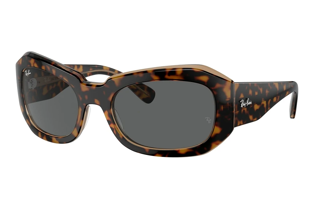 Ray-Ban   RB2212 1292B1 Dark GreyHavana On Transparent Brown