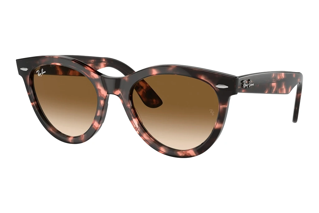 Ray-Ban   RB2241 133451 Clear & BrownPink Havana