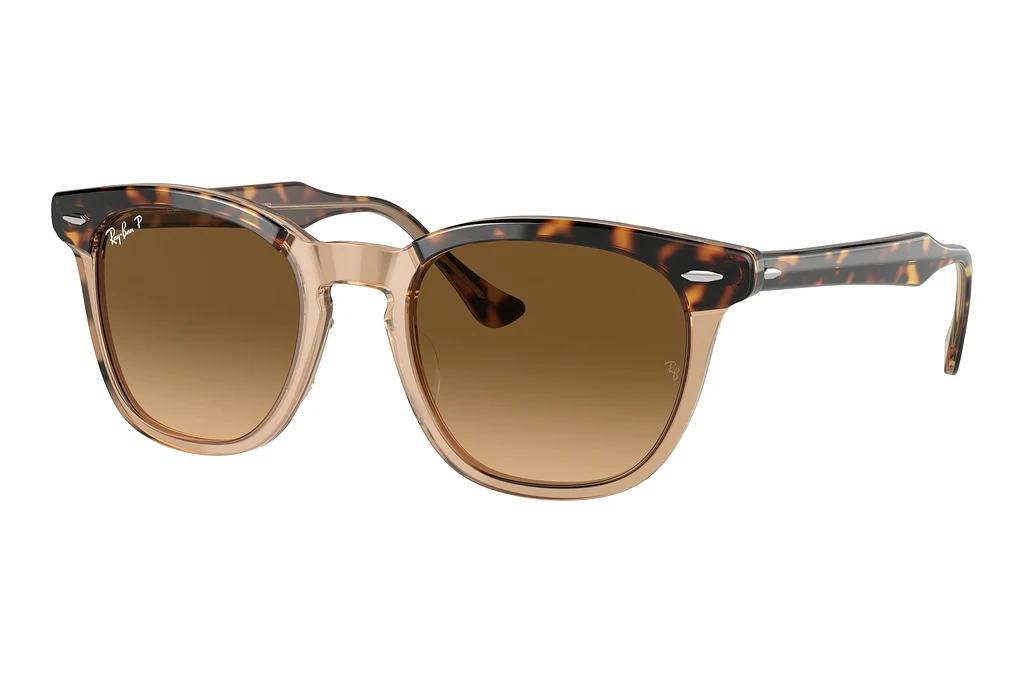 Ray-Ban   RB2298 1292M2 BrownHavana On Transparent Brown