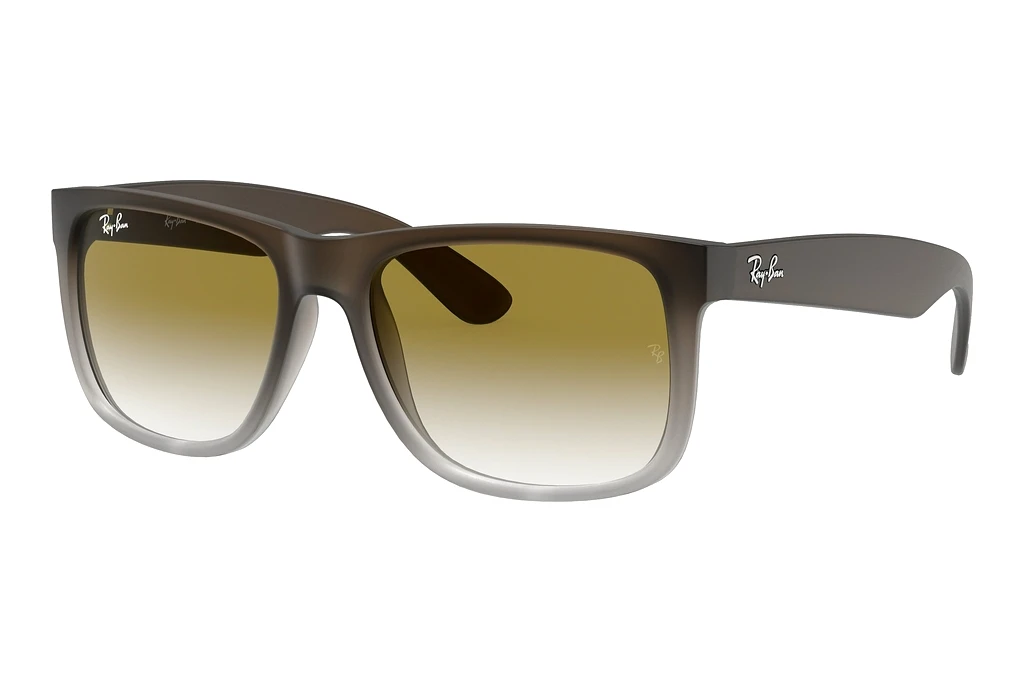 Ray-Ban   RB4165 854/7Z Green GradientBrown