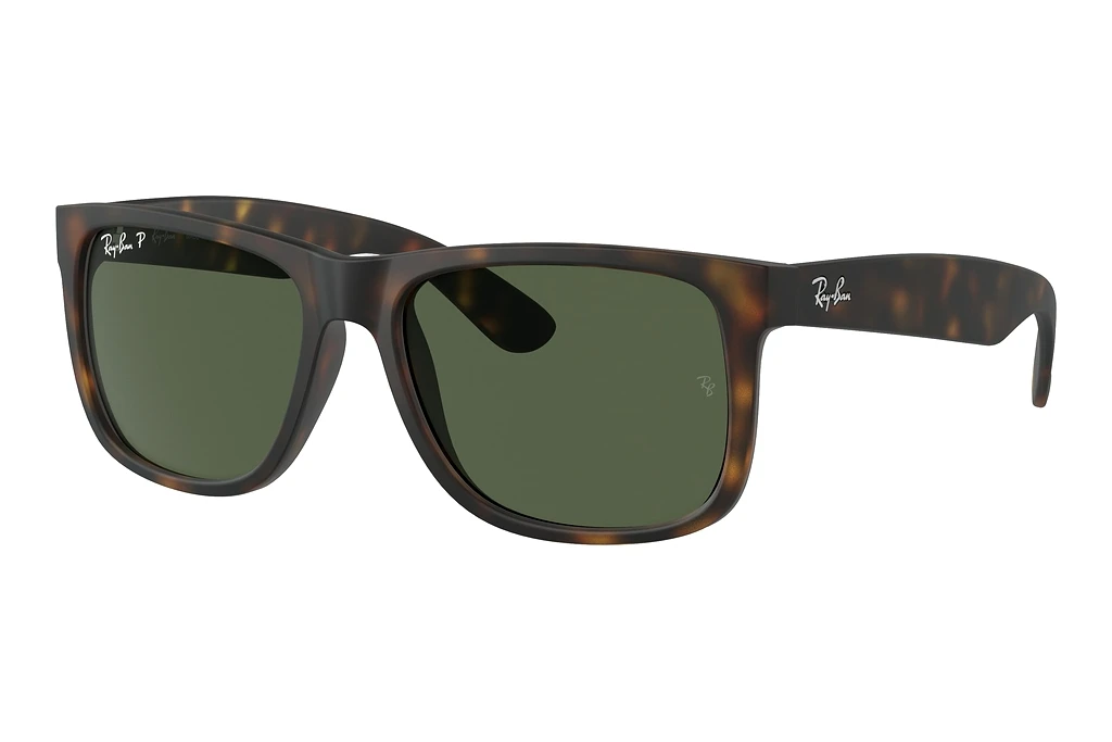 Ray-Ban   RB4165 865/9A Dark GreenHavana