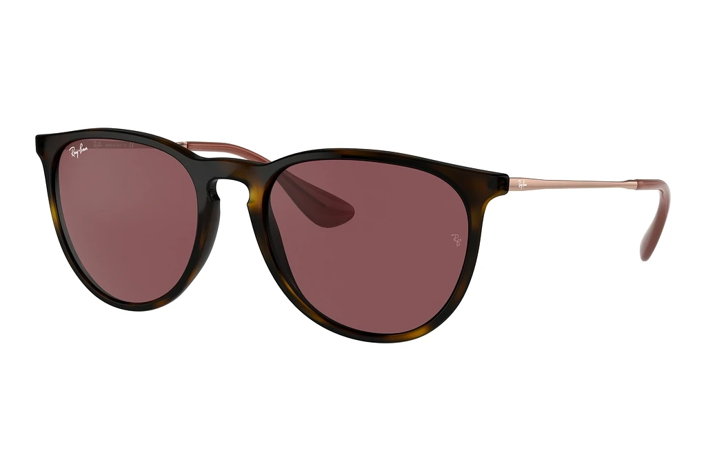 Ray-Ban   RB4171 639175 Dark VioletHavana