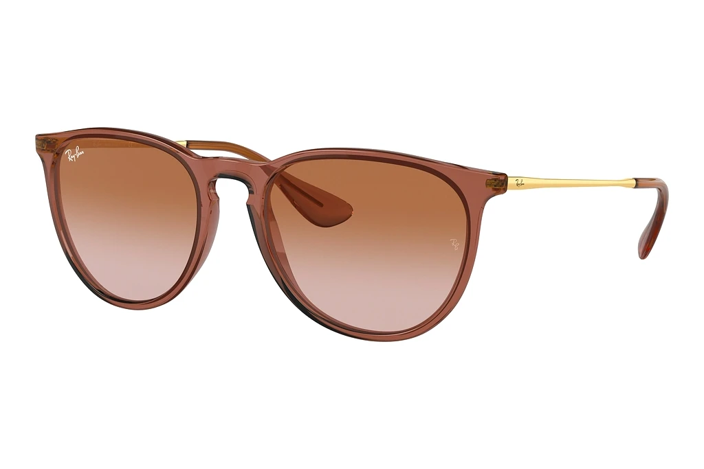 Ray-Ban   RB4171 659013 Gradient BrownTransparent Light Brown