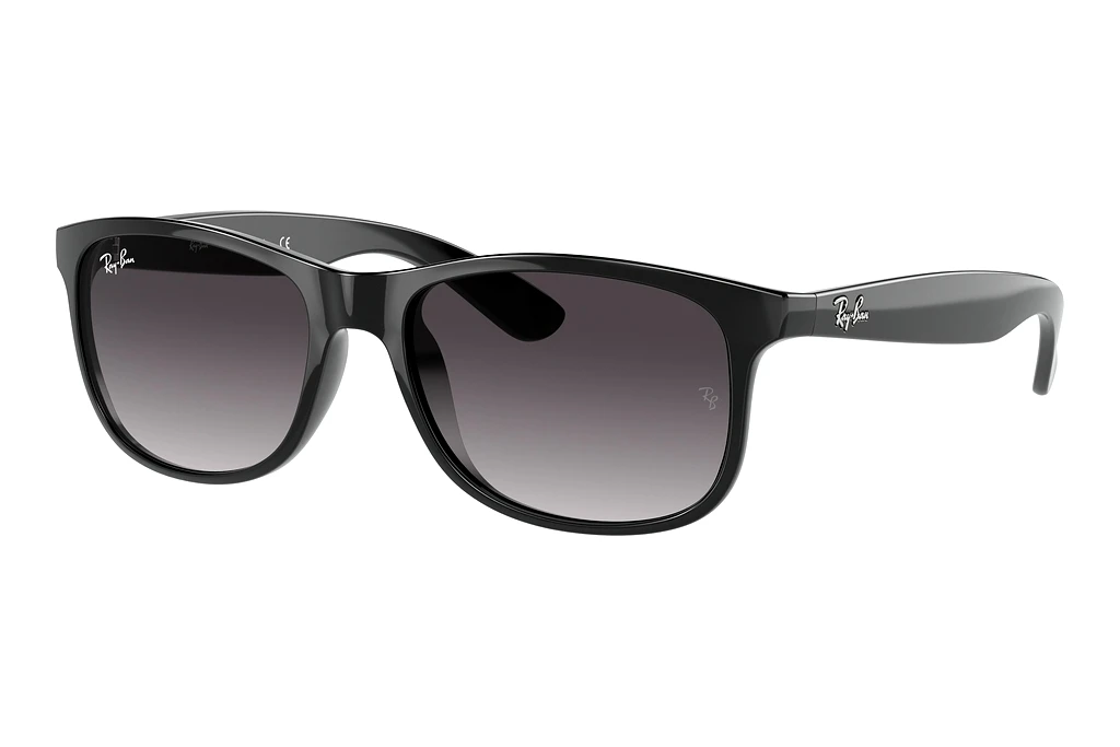 Ray-Ban   RB4202 601/8G Grey GradientBlack