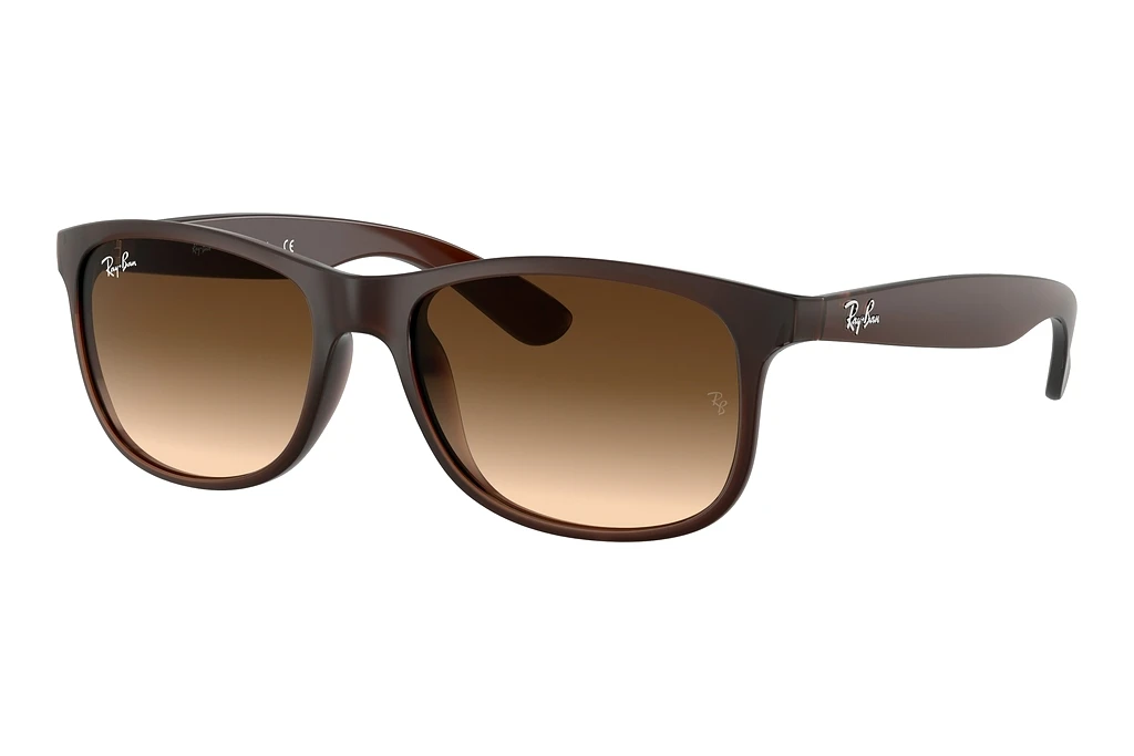 Ray-Ban   RB4202 607313 Brown GradientBrown