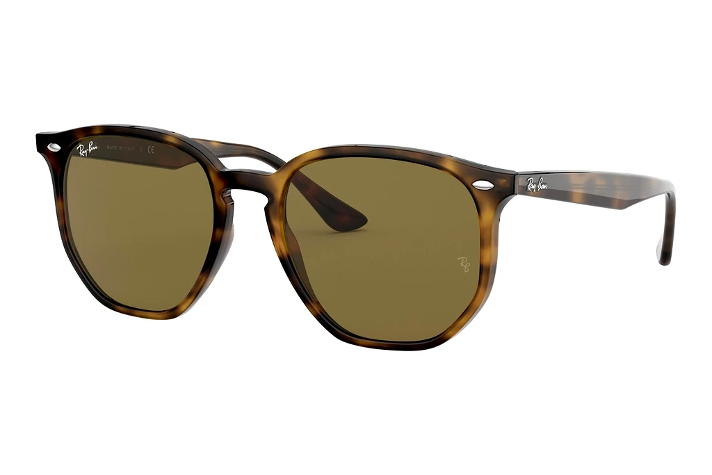 Ray-Ban   RB4306 710/73 B-15 BrownLight Havana