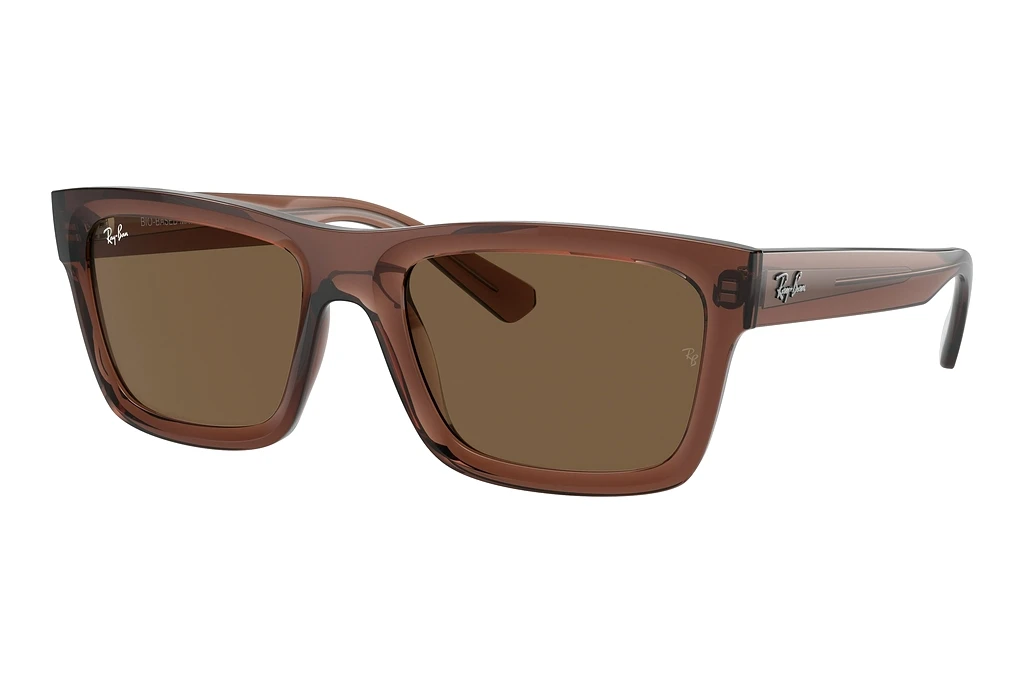 Ray-Ban   RB4396 667873 Dark BrownTransparent Brown