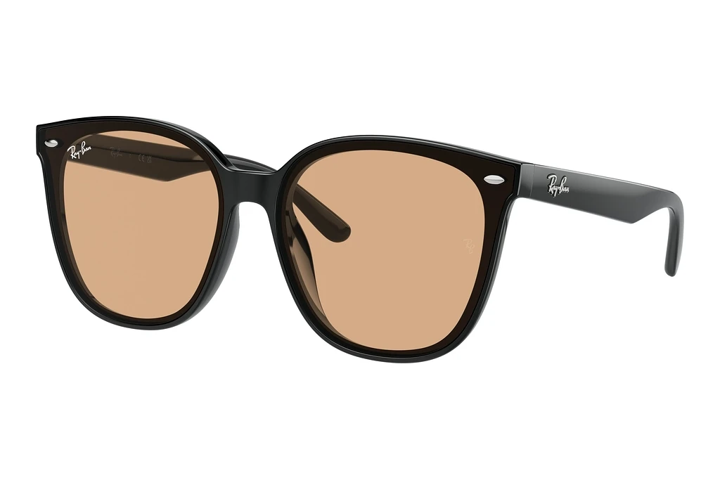 Ray-Ban   RB4423D 601/93 BrownBlack