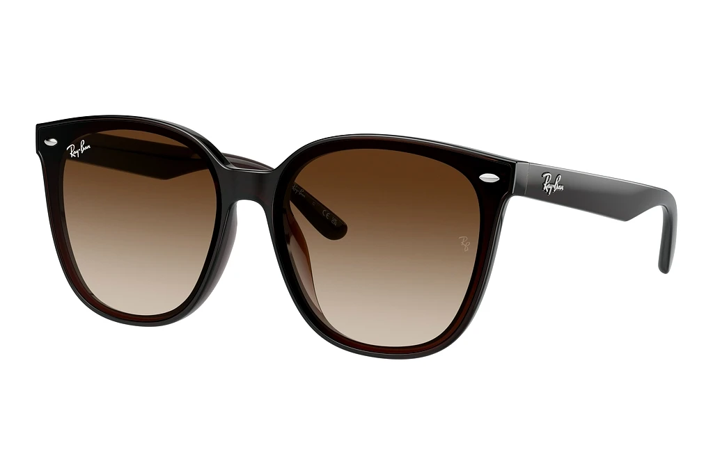 Ray-Ban   RB4423D 714/13 BrownTransparent Brown