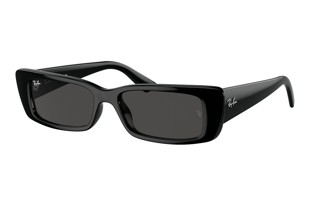 Ray-Ban   RB4425 667787 Dark GreyBlack