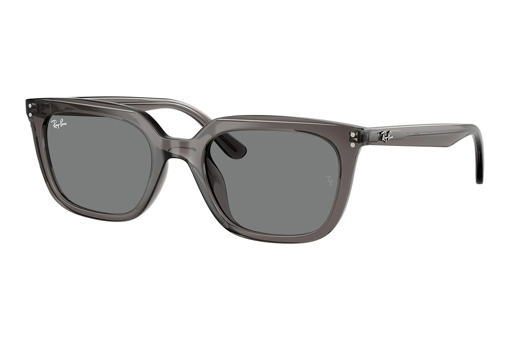 Ray-Ban   RB4439D 667587 Dark GreyTransparent Grey