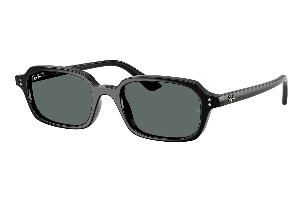 Ray-Ban   RB4455 667781 Dark Grey PolarBlack