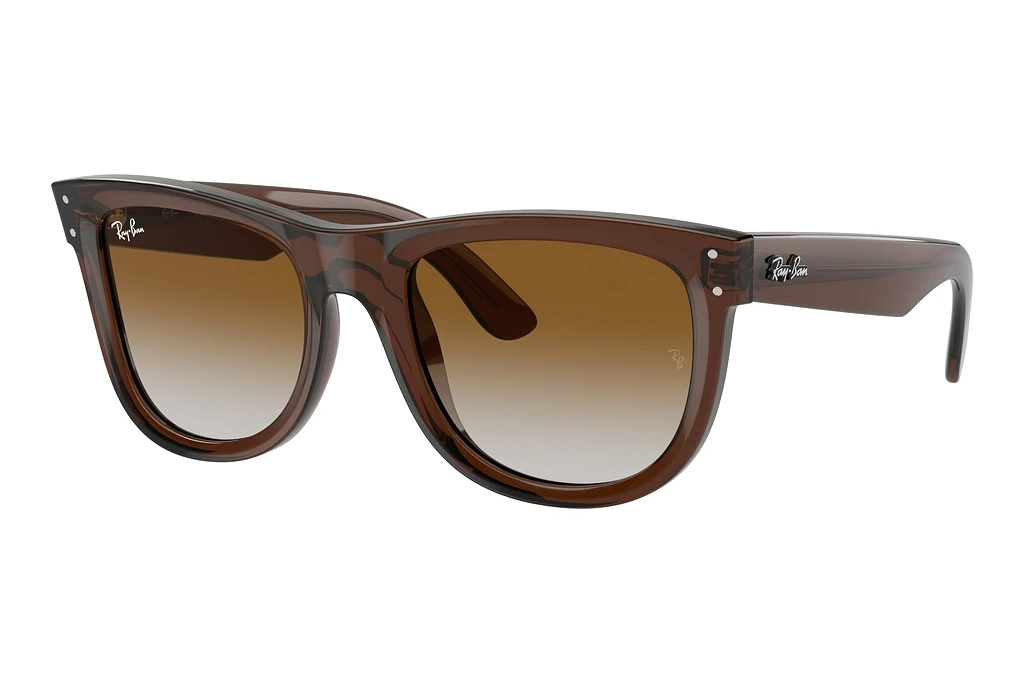 Ray-Ban   RBR0502S 6709CB BrownTransparent Brown