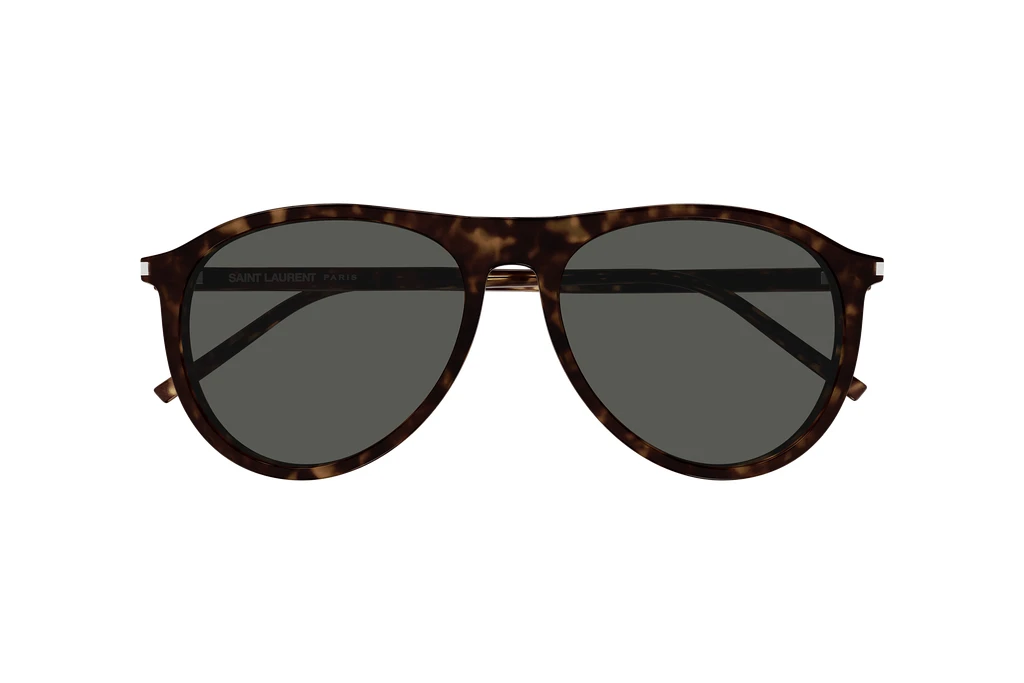 Vorderansicht Saint Laurent SL 667 (002)