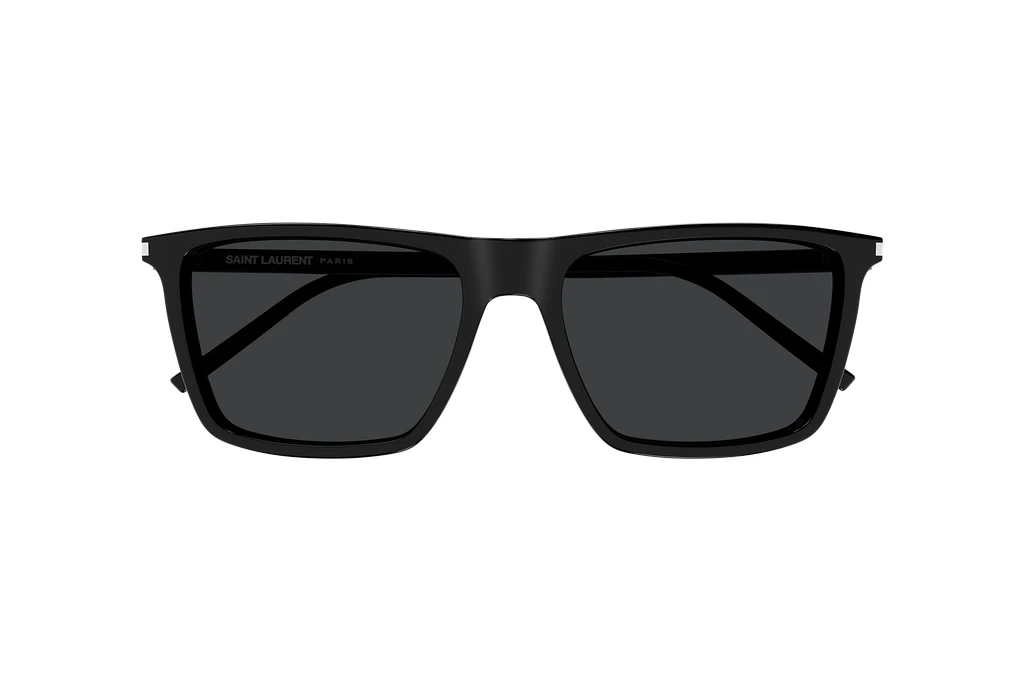 Vorderansicht Saint Laurent SL 668 (001)