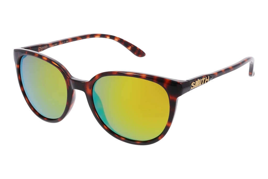 Smith   CHEETAH 086/UI HAVANA