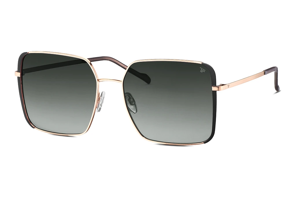 TITANFLEX   EBT 826701 21 blaugold