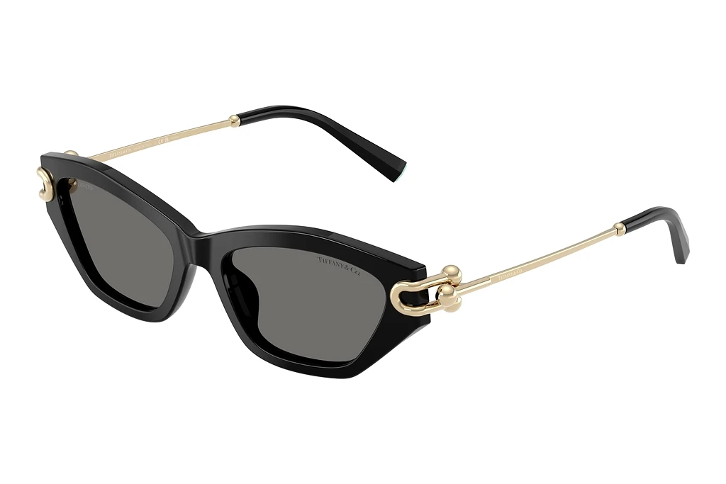 Tiffany   TF4231U 800181 Dark Grey PolarBlack