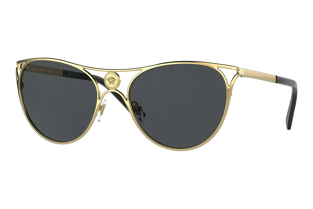 Versace   VE2237 100287 Dark GreyGold
