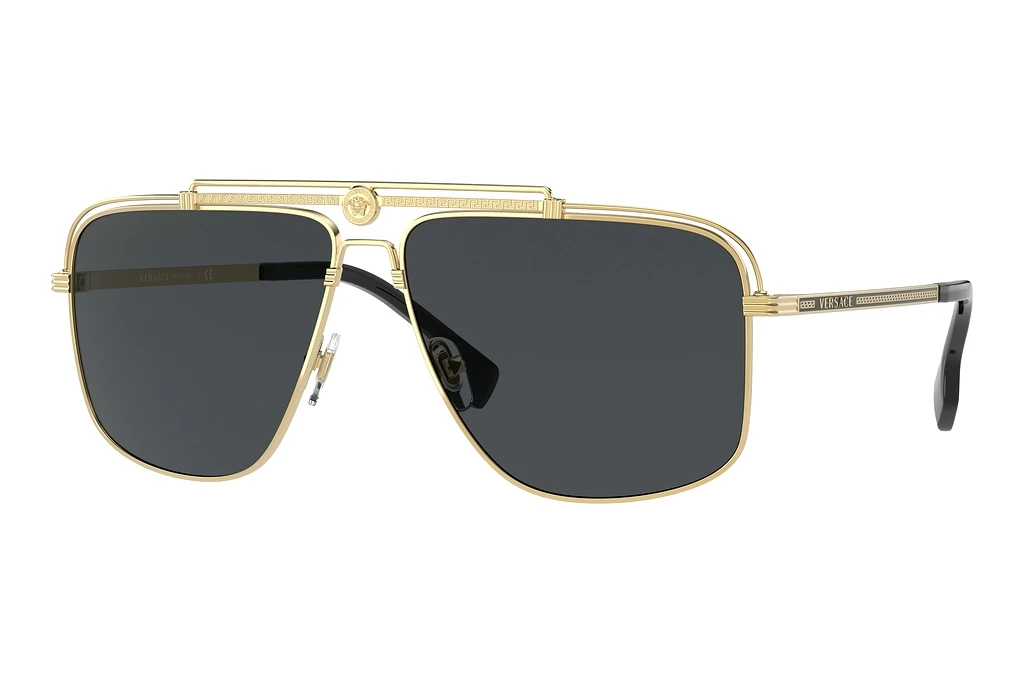 Versace   VE2242 100287 Dark GreyGold