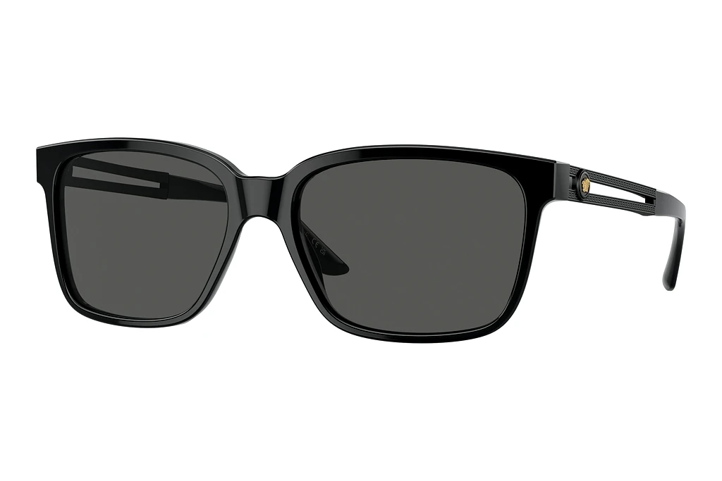 Versace   VE4307 533287 Dark GreyBlack