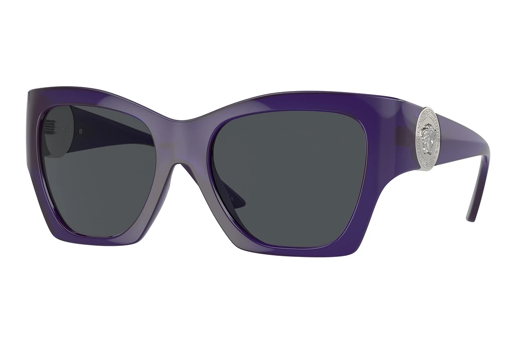 Versace   VE4452 541987 Dark GreyTransparent Purple