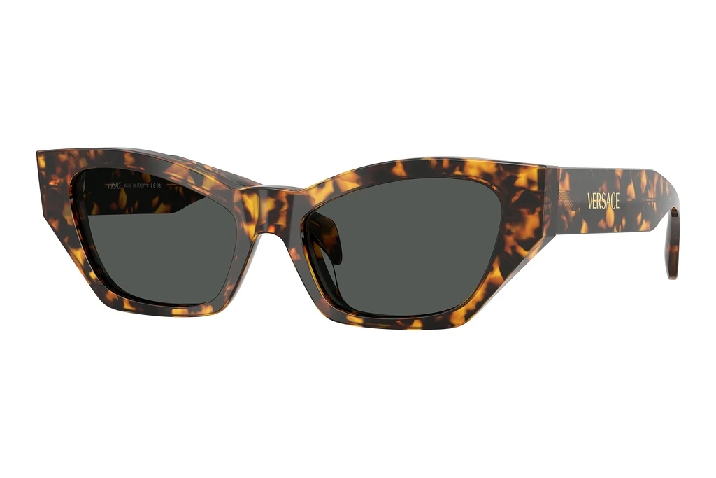Versace   VE4488U 551487 Dark GreyHavana Tortoise