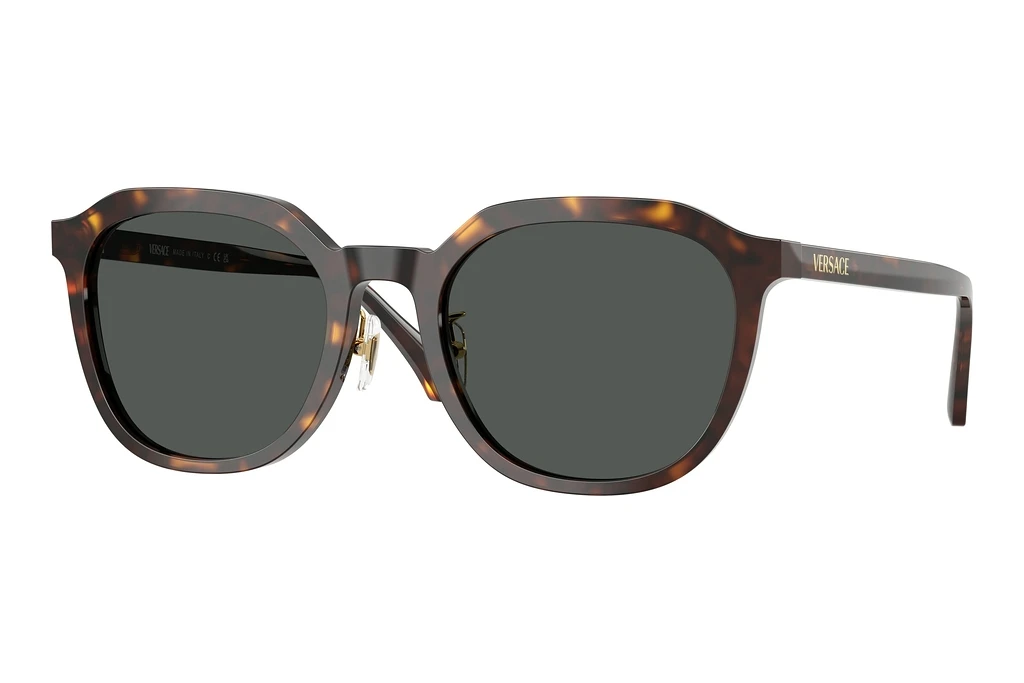 Versace   VE4493D 108/87 Dark GreyDark Havana