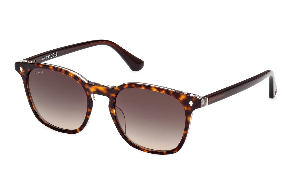 Web Eyewear   WE0364 56B grau verlaufendHavanna/Einfarbig