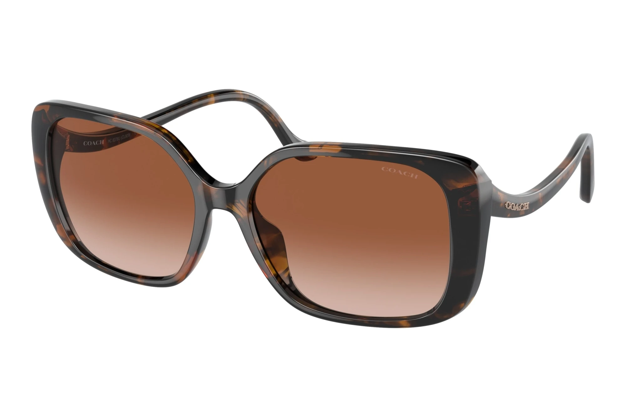 Coach   HC8376U 512013 Brown Peach GradientDark Tortoise