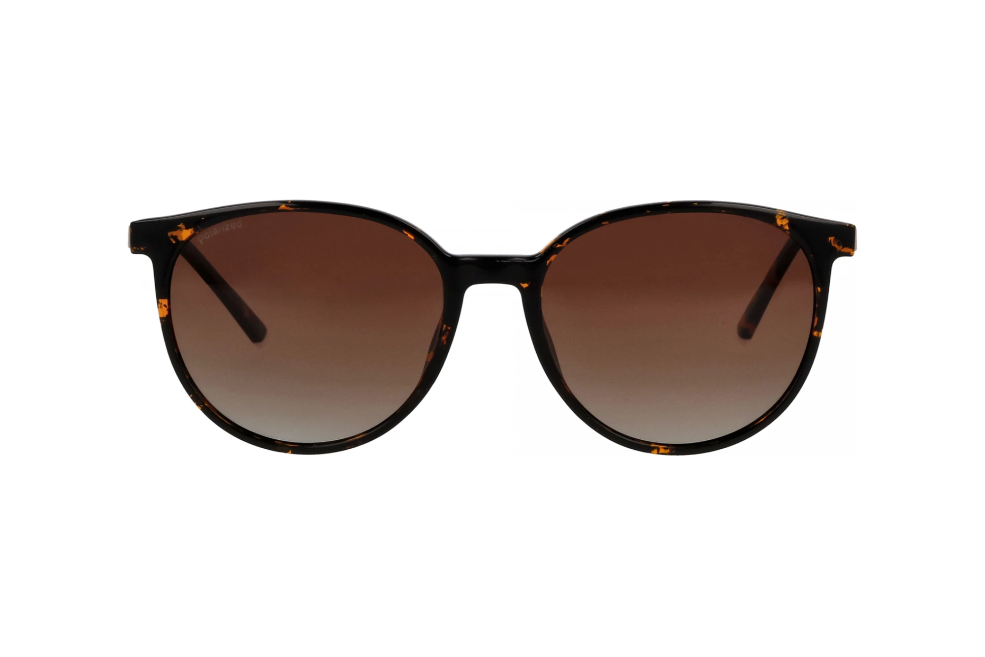 Vorderansicht Humphreys HU 586134 (60)