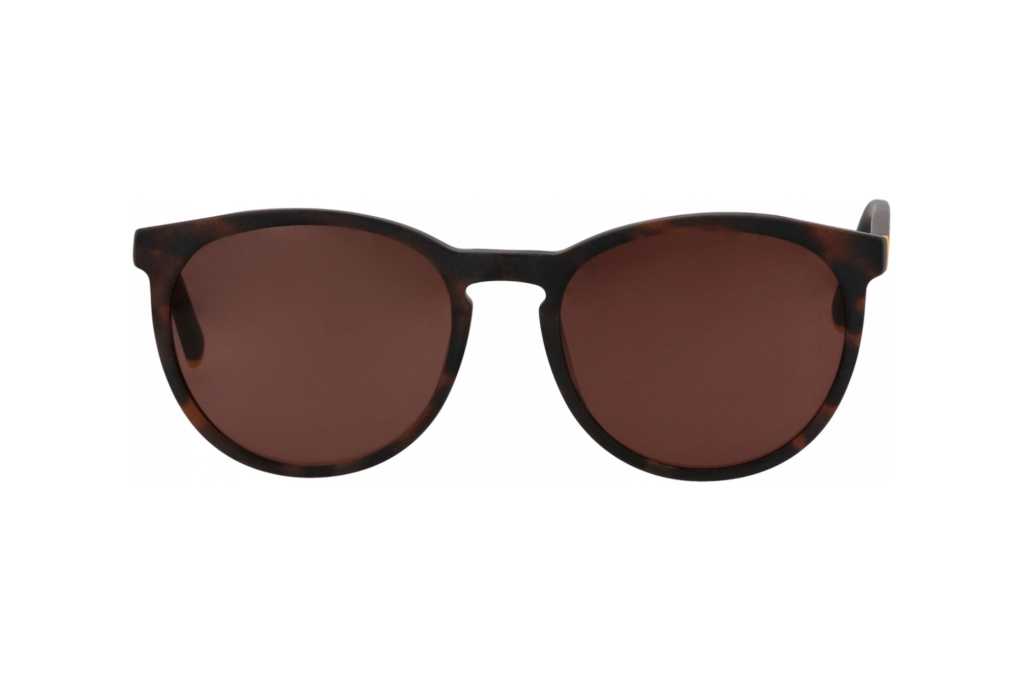 Vorderansicht Humphreys HU 588182 (60)