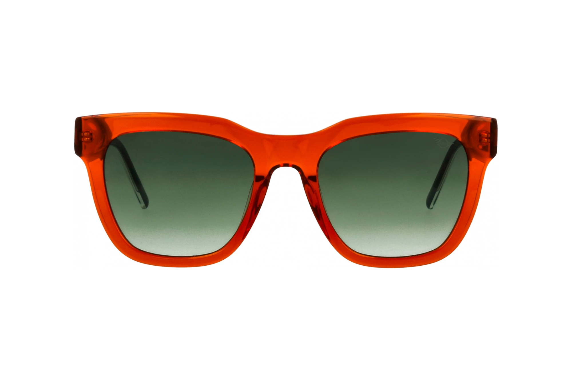 Vorderansicht MINI Eyewear MI 746018 (90)