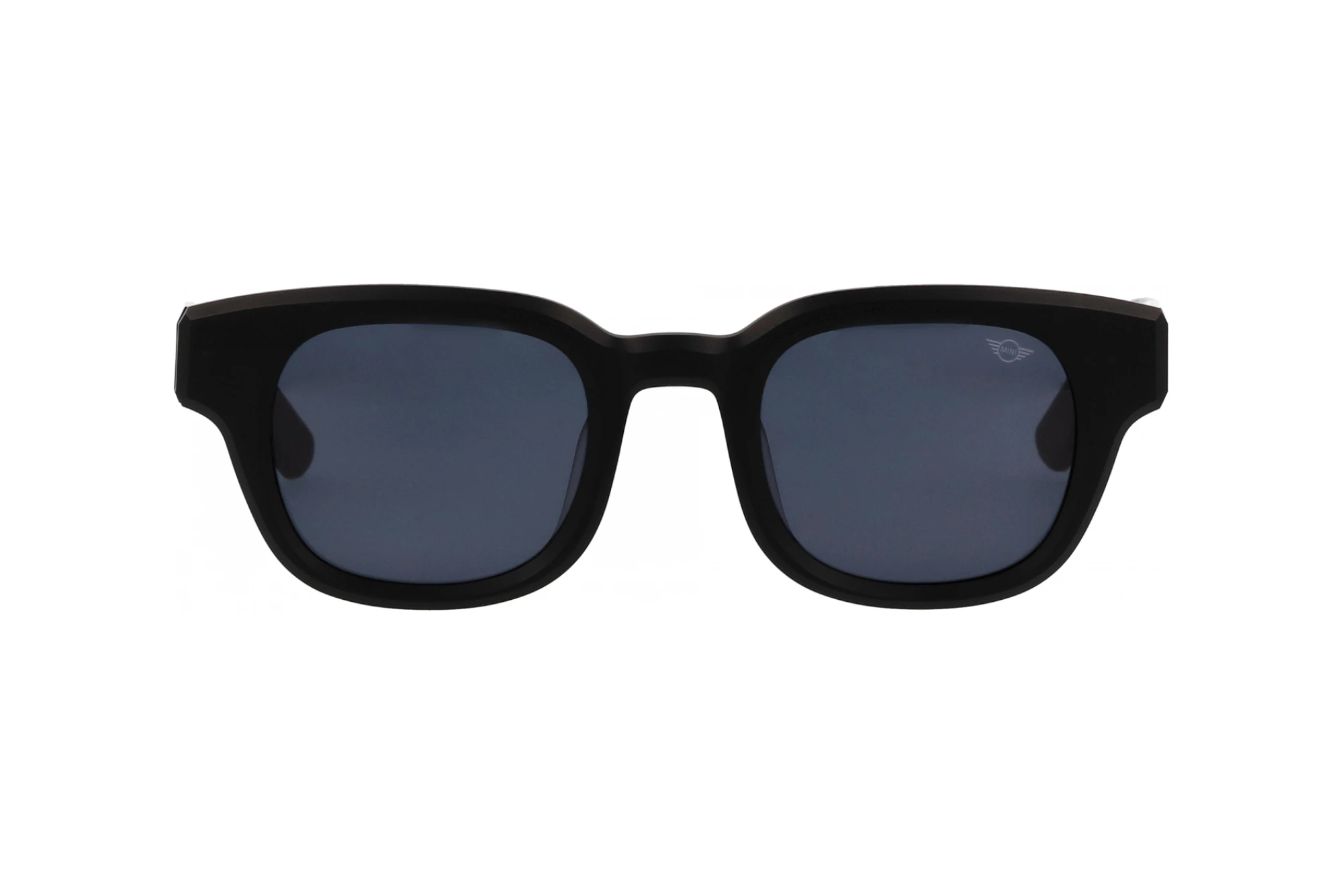 Vorderansicht MINI Eyewear MI 746019 (10)