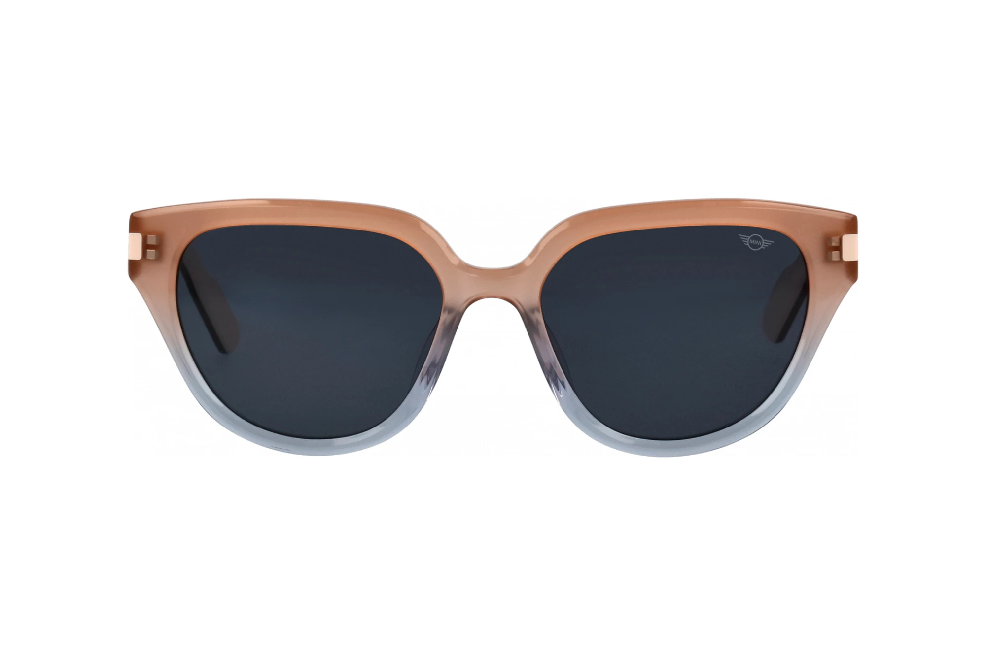 Vorderansicht MINI Eyewear MI 746024 (80)